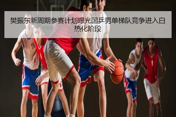 樊振东新周期参赛计划曝光国乒男单梯队竞争进入白热化阶段