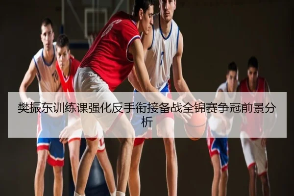 樊振东训练课强化反手衔接备战全锦赛争冠前景分析